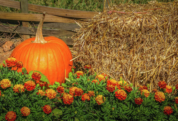 Az országos tesztelés első napjának délutánján a nap is kisüthet