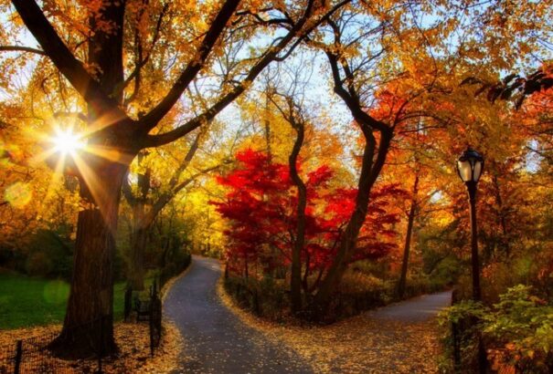 Változóan felhős-napos idő várható a hét utolsó napján