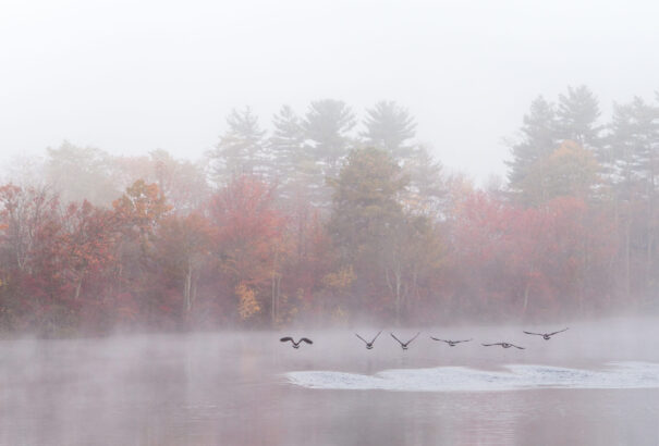 Ködös, hideg őszi idő vár ránk szerdán
