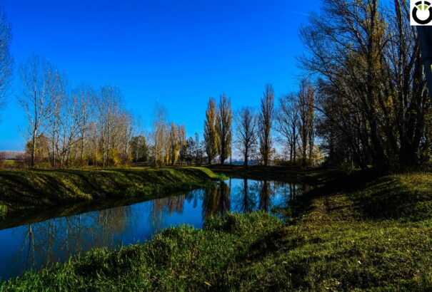 Csilizközi november – Képriport