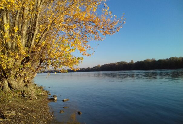Késő őszi életkép a Monostori híd dunai partszakaszáról