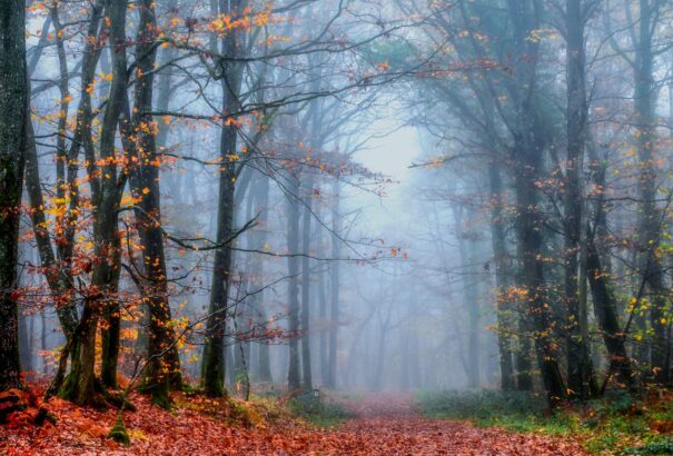 Borús, szürke novemberi időre számíthatunk kedden