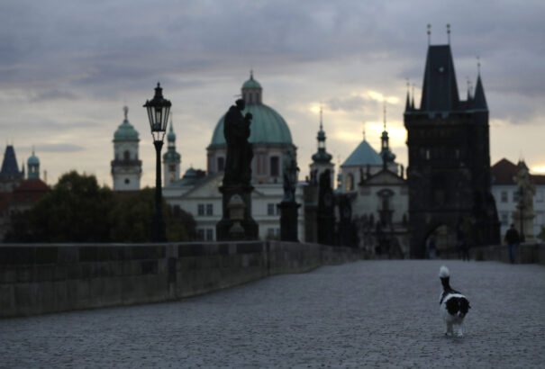 Hamáček szerint Csehországban karácsonyig érvényben lehet a szükségállapot