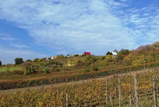 A Bátorkeszi dombvidék őszi varázsa