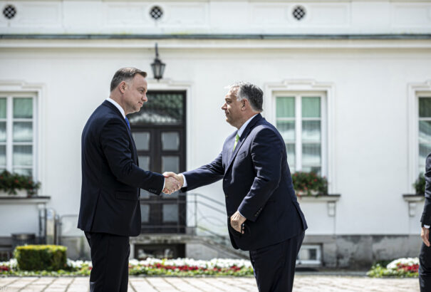 Magyarok, lengyelek, kontra Európa sírásói