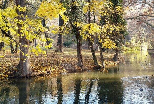 Van egy (és megannyi) álmom