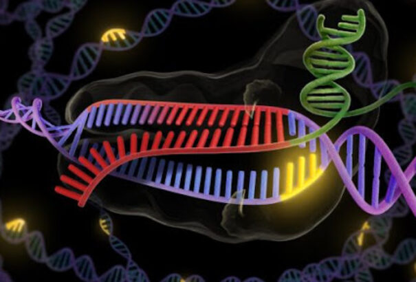 A molekuláris olló hatékonynak bizonyult két agresszív ráktípus kezelésében