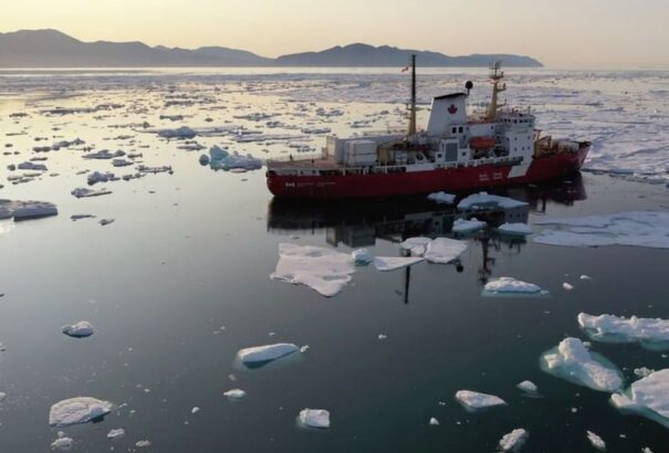 Az elmúlt öt év alatt 12 új fajt fedeztek fel az Atlanti-óceán mélyén – mind a kihalás szélére kerülhet