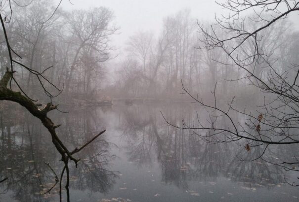 Borult, párás idő lesz hétfőn, de néhol kisüt a nap