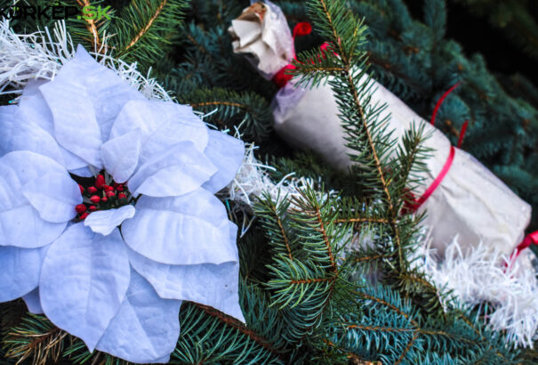 Ünnepi hangulat a Dunaszerdahelyi járásban – Karácsonyvárás a Csallóközben (Képekkel)