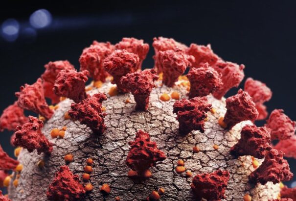 Koronavírus – Németországban is megjelent a dél-afrikai mutáns