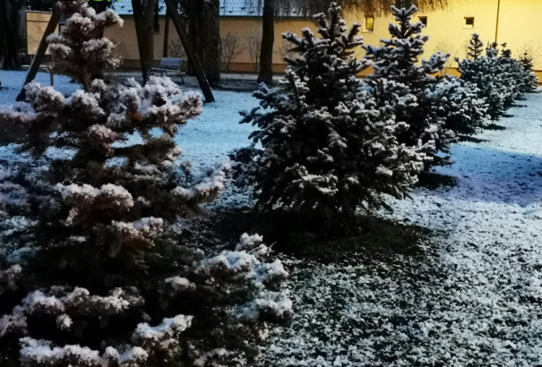 Lehullott az első hó a Csallóközben – Képriport