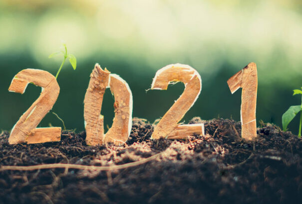 Tarics Péter: 2021-es évnyit(oga)ó