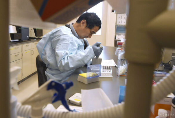 Tanulmány: a Dél-afrikai Köztársaságban azonosított vírusmutációnál nagy az újbóli megfertőződés veszélye