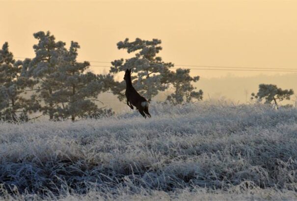 Borús, esős idővel indul a reggel, de délutánra kisüt a nap