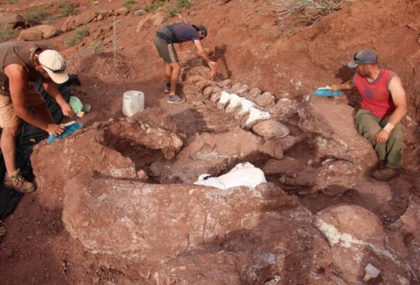 Tudósok megtalálhatták a Földön valaha élt legnagyobb élőlény kövületeit
