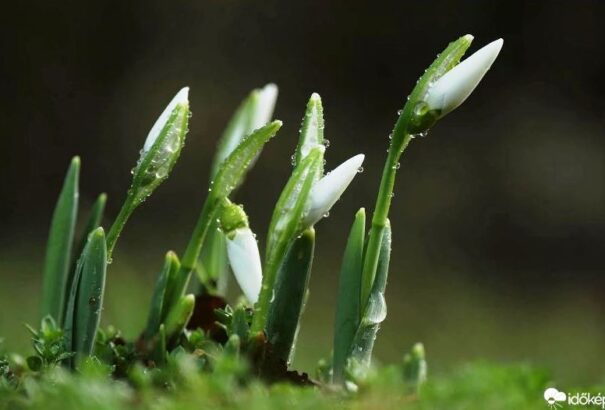 Megdőlt az országos melegrekord