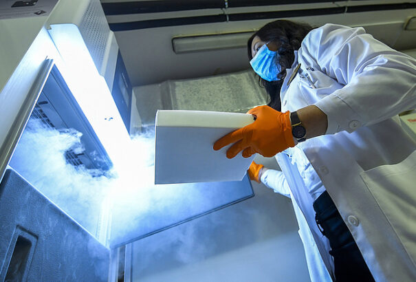 Koronavírus – Ausztria heti 60 ezer adag oltóanyaggal számol januárban