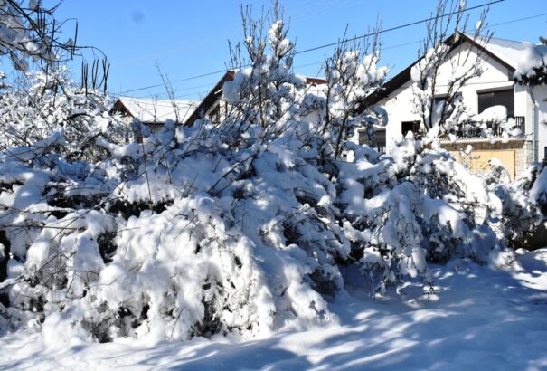 Sirattunk a hóért – itt van (Képekkel)