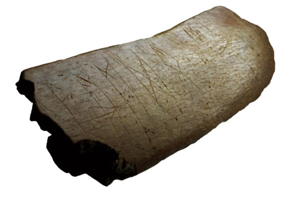 A csehek új felfedezése átírhatja a történelemkönyveket. Nem a glagolita a szlávok legrégebbi írása, hanem az ógermán rúna