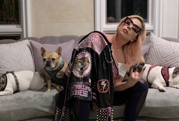 Megtalálták Lady Gaga ellopott bulldogjait