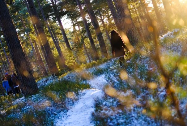 A tavaszias idő után a hétvégére lehűlés várható