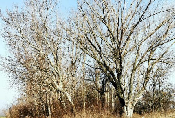 Felhős, de meleg lesz a csütörtök
