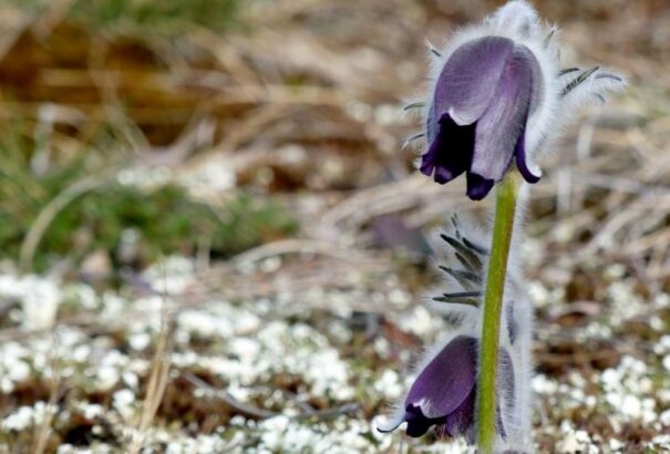 Viharos szél, eső és hózápor is várható szerdán