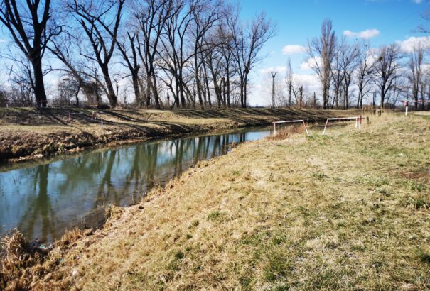 Elcsíptük a tavasz érkezését – Képriport