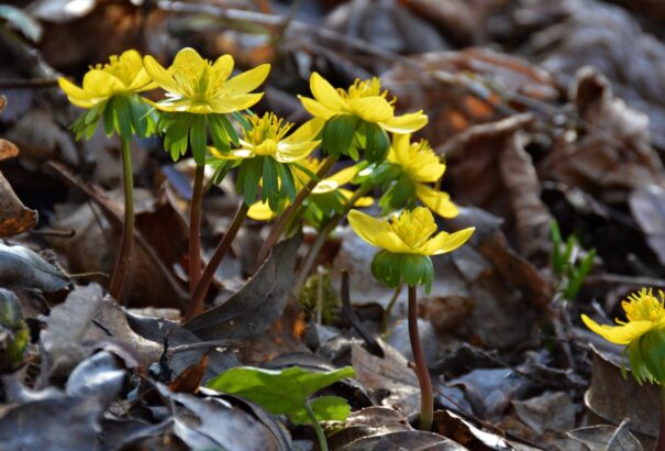 Borús, de meleg idő lesz kedden
