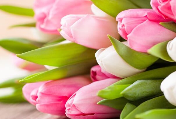 Ma ünnepeljük a lányokat, hölgyeket, édesanyákat, nagymamákat