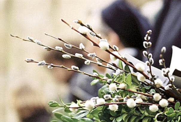 Virágvasárnappal megkezdődik a nagyhét