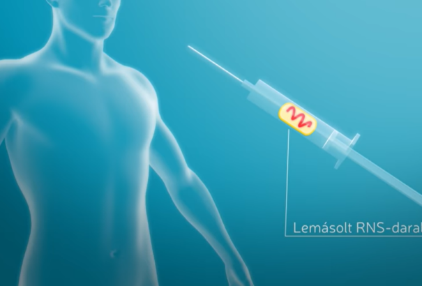 Látványos animáció mutatja be a koronavírus elleni vakcina működését