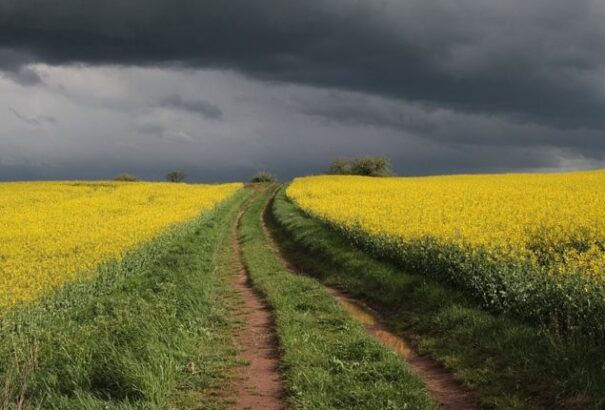 Felhős, szeles és hideg időnk lesz csütörtökön is