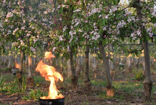A meteorológusok elsőfokú riasztást adtak ki alacsony hőmérséklet és talaj menti fagy miatt
