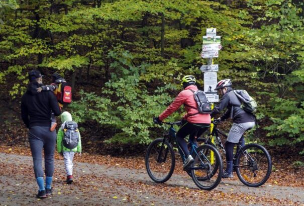 Hétfőtől teszt nélkül is lehetséges lesz a járások közötti utazás természetjárás céljából