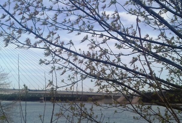 Húsvét a Duna mentén – Képekkel