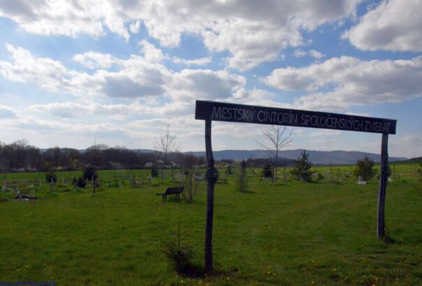 Állattemető Losoncon – Ahol házi kedvenceink méltó nyugovóra lelhetnek