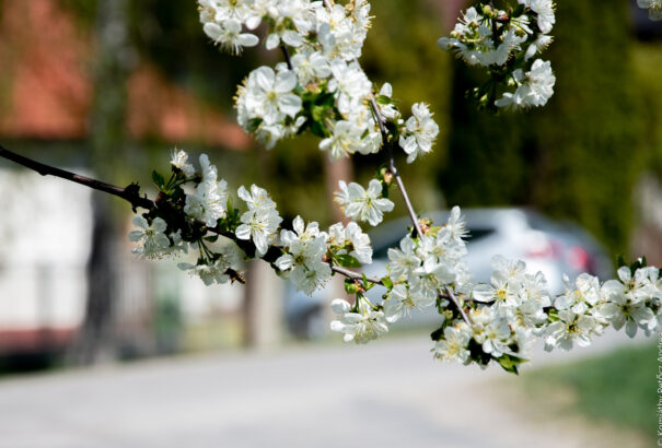 Túlnyomóan felhős időnk lesz, de délen a napsütésbe is belekóstolhatunk
