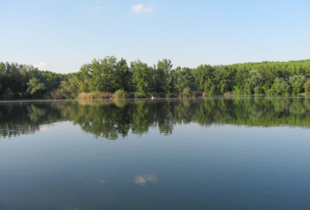 Április, az élővilág hónapja