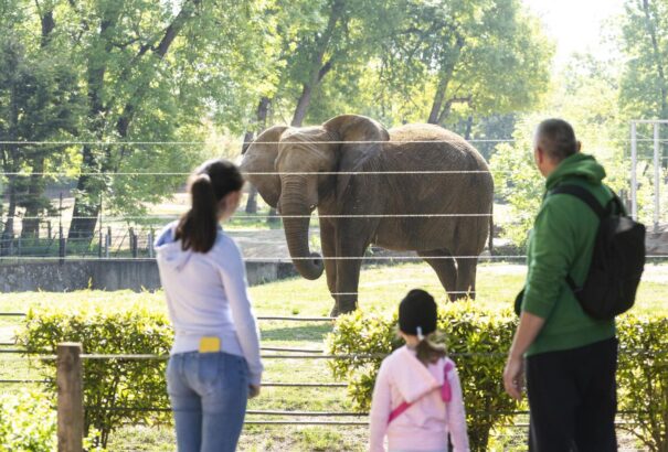 A magyar kormány közzétette nyitási tervét 4 millió beoltottnál. De mi lesz a határon túli magyarokkal?