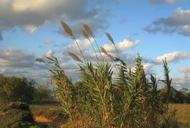 Folytatódik a záporos, zivataros idő
