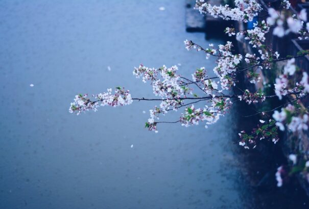 Borús, esős idővel zárul a hét