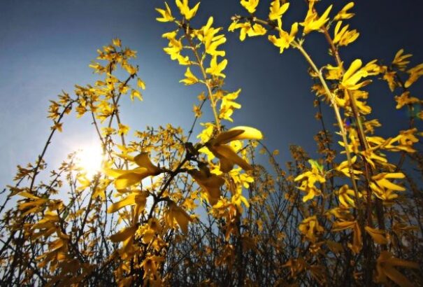 Lehűl az idő a húsvéti hosszú hétvégére