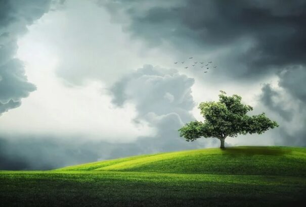 Borongósan indul a nap, majd délután felszakadozik a felhőzet