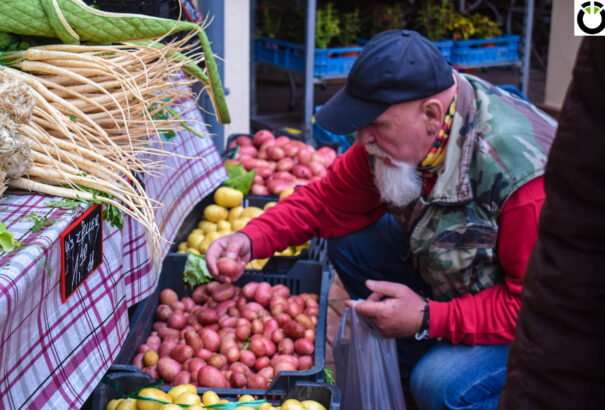 Megnőtt a vásárlási és beszélgetési kedv a Gútai mezővárosi piacon