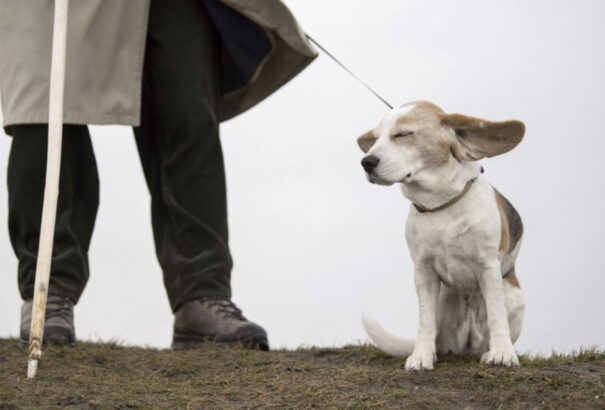 Nyugat-Szlovákiára másodfokú riasztást adtak ki erős szél miatt