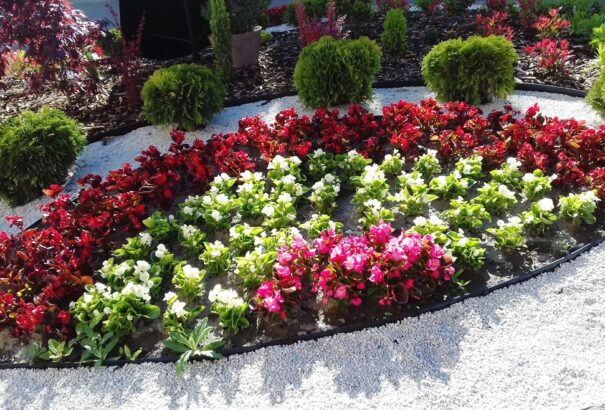 Színpompás virágok ékesítik Komárom belvárosát – Képekkel