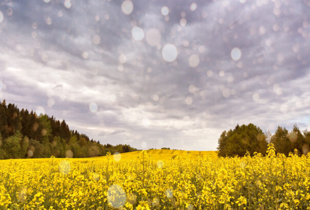Csapadékos, szürke idő vár ránk csütörtökön