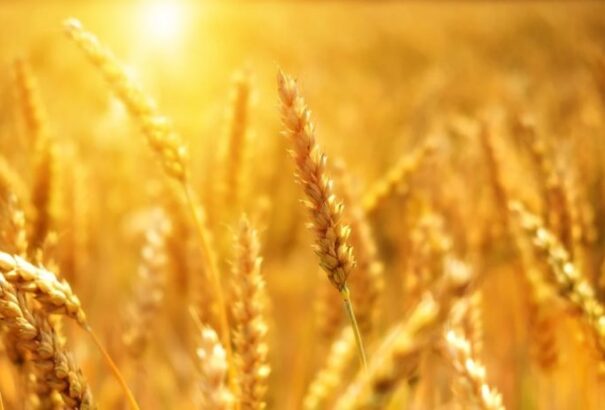 Folytatódik a kánikula, 35 fokos csúcsértékekkel